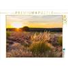 CALVENDO Flatow Patricia - Puzzle Calvendo al tramonto nella Mehlinger Heide, 1000 pezzi, dimensioni: 64 x 48 cm
