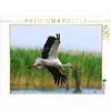 CALVENDO Eisenreich Wilhelm - Puzzle Calvendo, 1000 pezzi, dimensioni: 64 x 48 cm