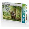 CALVENDO Puzzle ESCAMBRAY - Cuba cuore verde 1000 pezzi Lege dimensioni 64 x 48 cm foto Puzzle di Löwis of Menar Henning