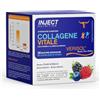 Inject Nutrition Collagene Vitale, 30 Bustine, con Vitamina C e Acido Ialuronico, Aroma Frutti di Bosco, Senza Glutine