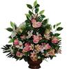 DRW Centro Fiori Cementero Santos Campanelle Rose, 62 x 50 cm, Bianco/Rosa Salmone, Medidas: 62x50 cm