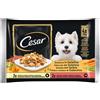 Cesar Dog Selezione Delizie del Giorno Multipack 4x100 gr - In gelatina - 1° ORDINE? scegli lo sconto BZR5 / BZR20 + 200 punti fedeltà