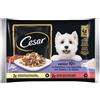 Cesar Senior 10+ in gelatina Multipack 4x100 gr - 2x Manzo - 2x Pollo - 1° ORDINE? scegli lo sconto BZR5 / BZR20 + 200 punti fedeltà