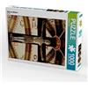 CALVENDO FOSO - Puzzle a forma di lupo allo Sciliare, 1000 pezzi, dimensioni 48 x 64 cm
