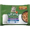 Ultima Expert Nutrition Cibo umido per gatti sterilizzati - Senior +10 anni - Scatola da 11 x (4 x 70 g)