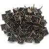 Pxyelec - Confezione da 50 chiodi decorativi, in ferro, forma quadrata, stile vintage, 14 x 20 mm, per mobili e tappezzeria, colore: bronzo