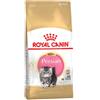 Royal Canin Kitten Persian 2 kg Per Gattini Persiani