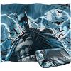 LOGOVISION Batman Stormy Knight Coperta super morbida al tatto setoso - 152 x 127 cm