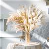 is Tycons 80 PezziErba della Pmapas Fiori Secchi Decorativi Naturali Decorativi Pampas Secca Bouquet Fiori Essiccati per Interno Pampas Grass Fiori Secchi per Home Decor Wedding Boho Decor