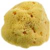 BEAUTYTIME INTERNATIONAL Srl Beautytime spugna naturale dama media - - 900388226