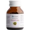ARCANGEA Srl Colest gea con q10 120 compresse da 500 mg - ARCANGEA - 984650580