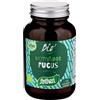 SANTIVERI Sa Alga fucus 113 compresse bio - - 974990778