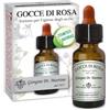 DR.GIORGINI SER-VIS Srl Gocce di rosa liquido 10 ml - GIORGINI - 978498499