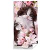 Carbotex Gatto Baby Gattino telo mare mare telo doccia cotone 70 cm x 140 cm Kitten (Multicolore TNL214008)