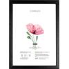 Lupia - Cornice portafoto in Legno da Parete Kronos Nera, per Stampe, pergamene diplomi, Poster, Quadri Moderni 21x29,7 cm A4