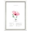 Lupia - Cornice portafoto da Parete Bianca con Profilo Argento White Silver, per Foto, Stampe artistiche, Poster, Quadri Moderni 50x70 cm