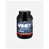 Enervit 100% Whey 900 G. Cacao - Energetico - Color Mix