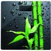 GDO SOLUTION SRL BILANCIA PESAPERSONE ELETTRON. MOD.GD035