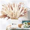 is Tycons 58PezziErba della Pmapas Fiori Secchi Decorativi Naturali Decorativi Pampas Secca Bouquet Fiori Essiccati per Interno Pampas Grass Fiori Secchi per Home Decor Wedding Boho Decor