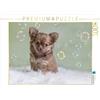 CALVENDO Puzzle Angel scoprire le bolle di sapone 1000 pezzi Lege dimensioni 64 x 48 cm foto Puzzle N