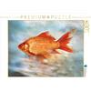 CALVENDO Brunner-Klaus - Puzzle Pesce rosso, 1000 pezzi, dimensioni: 64 x 48 cm