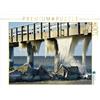 CALVENDO Puzzle Bandiere di ghiaccio sul ponte di mare in Wustrow 1000 pezzi Lege dimensioni 64 x 48 cm foto puzzle immagine di Grobelnx Renate