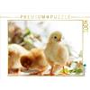 CALVENDO Riedel Tanja CALVENDO Puzzle - Puzzle da 1000 pezzi, dimensioni della lega: 64 x 48 cm