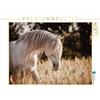 CALVENDO Puzzle Il mondo affascinante dei cavalli 1000 pezzi Lege dimensioni 64 x 48 cm foto puzzle immagine di Mischnik Sabrina