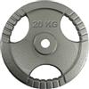 Blue Gym Disco Standard Ghisa 20 KG/27mm