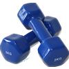 Blue Gym Manubrio per Aerobica 2 KG