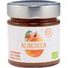 HEALTION Srl SOCIETA BENEFIT Composta di Albicocca 250g