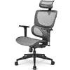 Sharkoon OfficePal C30M Seduta in rete Schienale a rete (Sharkoon OfficePal C30M - stol - gitte)