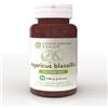 Funghi Energia & Salute Agaricus blazei Polvere Bio, Integratore in Polvere, Fungo Medicinale per Benessere e Metabolismo, VeganOK, Senza Pesticidi, OGM e Lattosio, 100g Polvere Bio