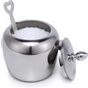 Chase Chic Zuccheriera Zuccheriera in Acciaio Inox con Coperchio e Cucchiaio da Zucchero per Cucina e Casa a Forma di Mela 215 ml (7oz)