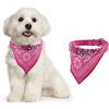 Alcyoneus Collare con bandana per cuccioli, regolabile, per cane e gatto, collare in pelle sintetica con bandana