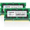 D DUOMEIQI DUOMEIQI 8GB 4GBx2 PC3-10600 DDR3 1333 RAM 2Rx8 204pin 1.5V CL9 4GB Aggiornamento di Memoria per Early/Late 2011 13/15/17 MacBook PRO metà 2010 e Mid/Late 21.5/68 6 Pollici Mac metà 2011 Mac Mini
