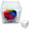 Premium-rose.com PREMIUM ROSE - Cubo Rosa Stabilizzata 12 cm con Marmo di Carrara - Rosa Eterna Stabilizzata Made in Italy - Idea per Persone Creative, Giovani e Bambini - Multicolor A 12