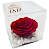 Premium-rose.com PREMIUM ROSE - Cubo Rosa Stabilizzata Rossa 12 cm con Marmo di Carrara - Rosa Eterna Stabilizzata Idea per San Valentino e Festa Della Mamma Made in Italy - Rosso A 1020