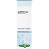 Erba Vita Clorofilla Tintura Idroalcolica Integratore Polivalente 50ml