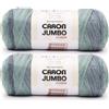 Caron CAR Jumbo Ombre White Water Yarn - 2 confezioni da 340 g/12 oz - 100% acrilico - # 4 pettinato (medio) - 500 metri - per maglia/uncinetto