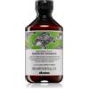 Davines Naturaltech Renewing Shampoo 250 ml