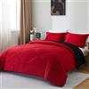 beeweed Piumino Letto Piazza e Mezza Quattro 4 Stagioni, Reversibile Piumone Autunnale Invernale 200x200cm - Coperta Trapunta 200x200 di Microfibra Sintetico 300 GSM, 2 Federe(50x80cm)