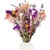 KAOHONG 39 Pz Fiori Secchi Naturali 15 Specie Miste Tonalità Viola Fiori Secchi Decorativi per Bomboniere Vaso Resina Candele Album Regalo DIY Artigianato Home Décor