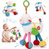 hahaland Giochi Neonato 0-3 Mesi - Sonaglio Neonato Peluche Pecora con 4 Musica, Giochi Sensoriali per Neonati Passeggini e Culle, Sonaglio e Specchio, Regalo Neonati Maschio Femmina 0 3 6 9 Mesi