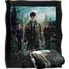 LOGOVISION Coperta HARRY POTTER, super morbida al tatto, 152 x 127 cm