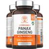 PharmaZen Panax Ginseng Rosso Coreano - Integratore Alimentare ad Alta Concentrazione 12.500 mg - Estratto di Radice di Ginseng con 30% di Ginsenosidi - 60 Capsule - Vegano