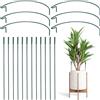 Griwuut 6 pali di supporto semicircolari per piante da giardino, 35,5 x 20,3 cm, supporti ad anello per fiori, peonie, ortensie, rose, pomodori