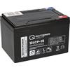 Akkuman.de Akkutechnik vom Fachmann Batteria 12 V 15 Ah, 6-DZM-12 compatibile con veicoli elettrici