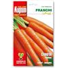 Generico Semente di Carota Nantes confezionata in busta grande da 18 grammi