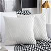 Sunia Set di 2 federe rettangolari quadrate decorative in velluto, federe moderne per divano letto, divano, sedia, camera da letto, soggiorno, (bianco, 40 x 40 cm)